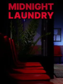 Midnight Laundry