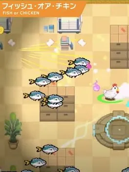 Fish or Chicken