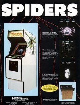Spiders