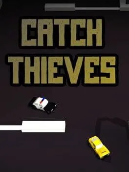 Catch Thieves