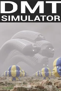 DMT Simulator