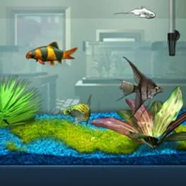 FishCo