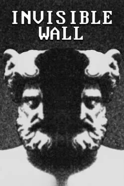 Invisible Wall