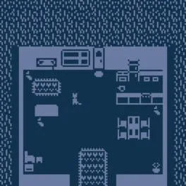 Rainy Day