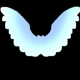 Amicusia