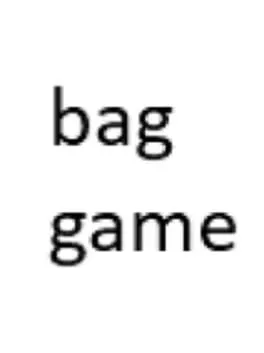 Bag Game