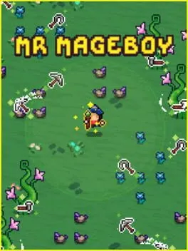 Mr Mageboy