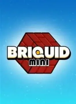 Briquid Mini
